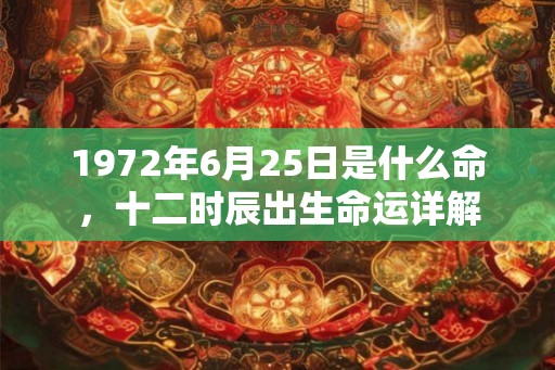 1972年6月25日是什么命，十二时辰出生命运详解