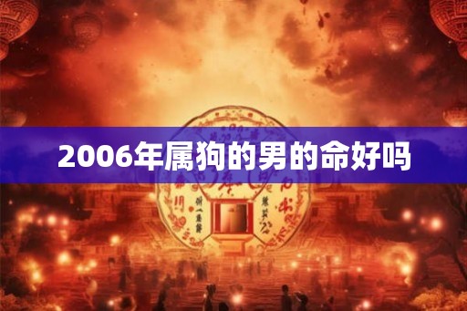 2006年属狗的男的命好吗