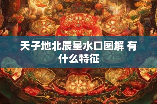 天子地北辰星水口图解 有什么特征