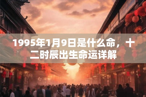 1995年1月9日是什么命，十二时辰出生命运详解