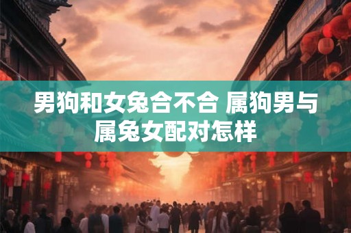 男狗和女兔合不合 属狗男与属兔女配对怎样