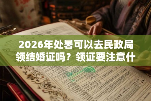 2026年处暑可以去民政局领结婚证吗？领证要注意什么？