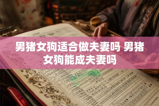 男猪女狗适合做夫妻吗 男猪女狗能成夫妻吗