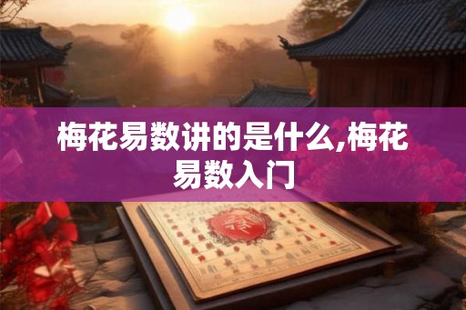 梅花易数讲的是什么,梅花易数入门