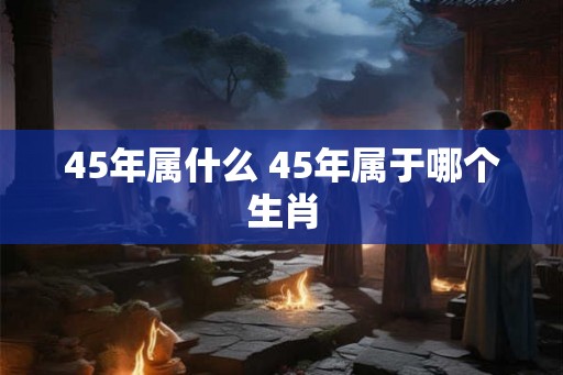45年属什么 45年属于哪个生肖 45年属什么 45年属于哪个生肖