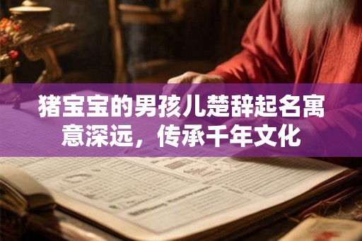 猪宝宝的男孩儿楚辞起名寓意深远,传承千年文化 猪宝宝的男孩儿楚辞起名寓意深远,传承千年文化
