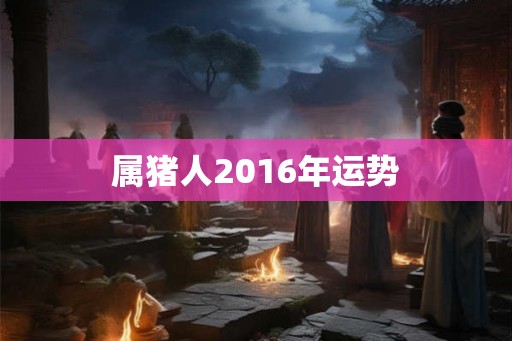 属猪人2016年运势