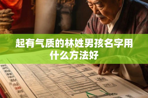 起有气质的林姓男孩名字用什么方法好