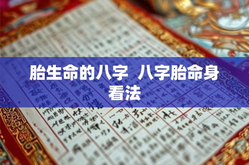 胎生命的八字  八字胎命身看法
