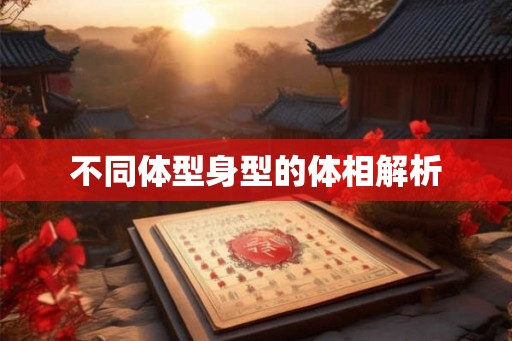 不同体型身型的体相解析
