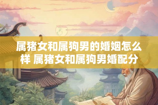 属猪女和属狗男的婚姻怎么样 属猪女和属狗男婚配分析