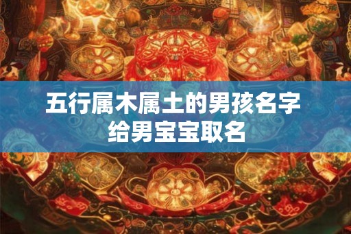 五行属木属土的男孩名字 给男宝宝取名