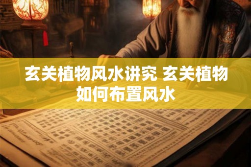 玄关植物风水讲究 玄关植物如何布置风水 玄关植物风水讲究 玄关植物如何布置风水