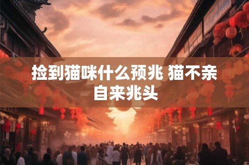 捡到猫咪什么预兆 猫不亲自来兆头 捡到猫咪什么预兆 猫不亲自来兆头