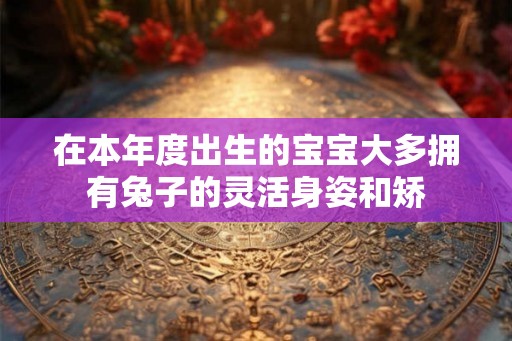 在本年度出生的宝宝大多拥有兔子的灵活身姿和矫