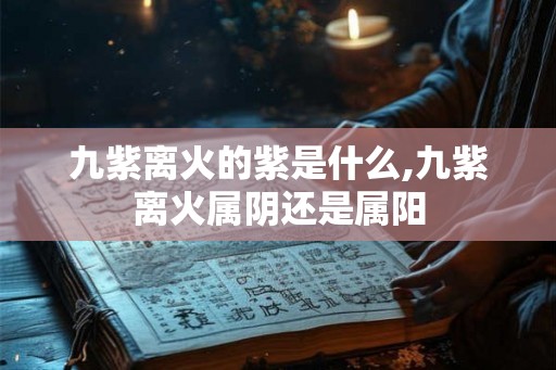 九紫离火的紫是什么,九紫离火属阴还是属阳