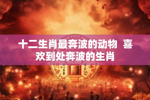 十二生肖最奔波的动物  喜欢到处奔波的生肖