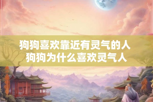 狗狗喜欢靠近有灵气的人 狗狗为什么喜欢灵气人 狗狗喜欢靠近有灵气的人 狗狗为什么喜欢灵气人