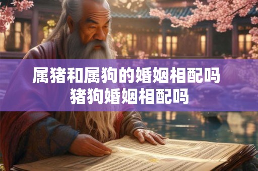 属猪和属狗的婚姻相配吗 猪狗婚姻相配吗