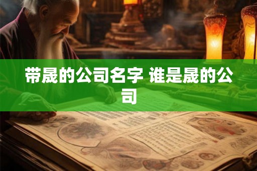 带晟的公司名字 谁是晟的公司