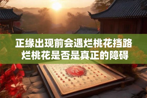 正缘出现前会遇烂桃花挡路 烂桃花是否是真正的障碍