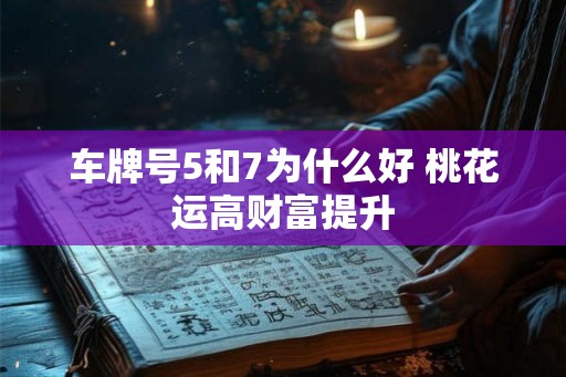 车牌号5和7为什么好 桃花运高财富提升