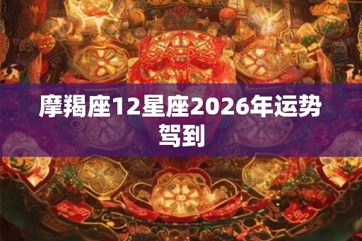 摩羯座12星座2026年运势驾到