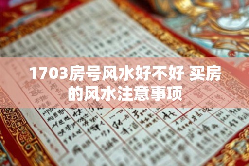 1703房号风水好不好 买房的风水注意事项