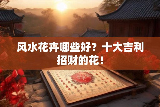 风水花卉哪些好？十大吉利招财的花！