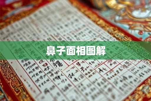 鼻子面相图解