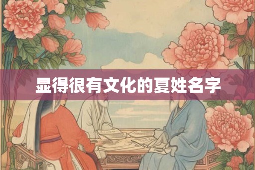 显得很有文化的夏姓名字