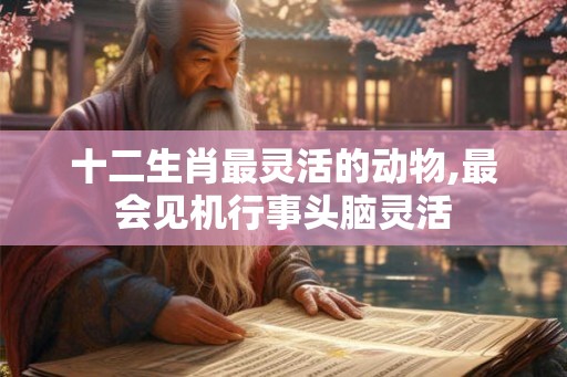 十二生肖最灵活的动物,最会见机行事头脑灵活