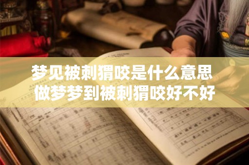梦见被刺猬咬是什么意思 做梦梦到被刺猬咬好不好 梦见被刺猬咬是什么意思 做梦梦到被刺猬咬好不好