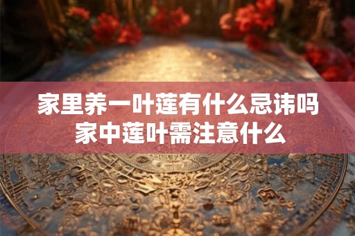 家里养一叶莲有什么忌讳吗 家中莲叶需注意什么