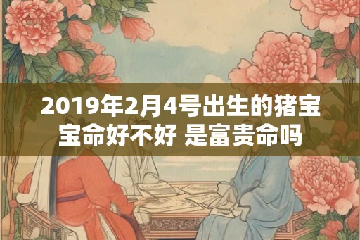 2019年2月4号出生的猪宝宝命好不好 是富贵命吗