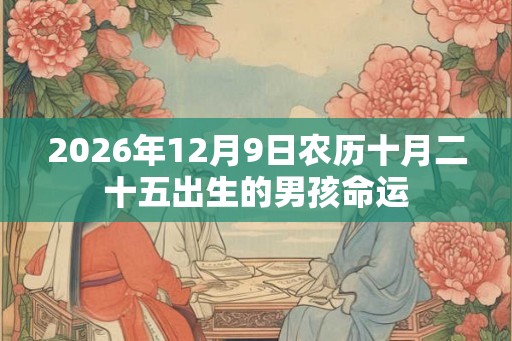 2026年12月9日农历十月二十五出生的男孩命运