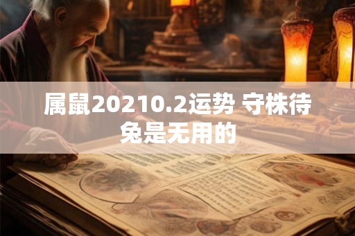 属鼠20210.2运势 守株待兔是无用的