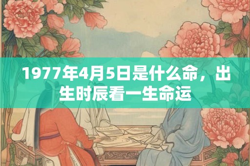 1977年4月5日是什么命，出生时辰看一生命运