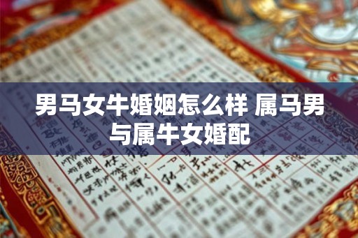 男马女牛婚姻怎么样 属马男与属牛女婚配