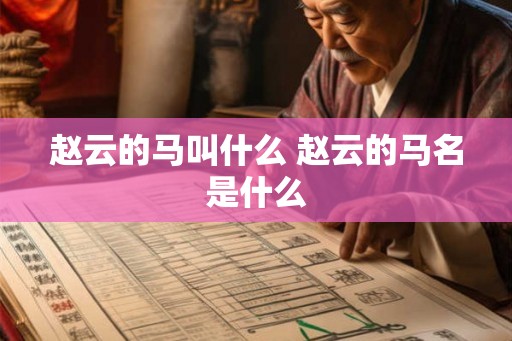 赵云的马叫什么 赵云的马名是什么