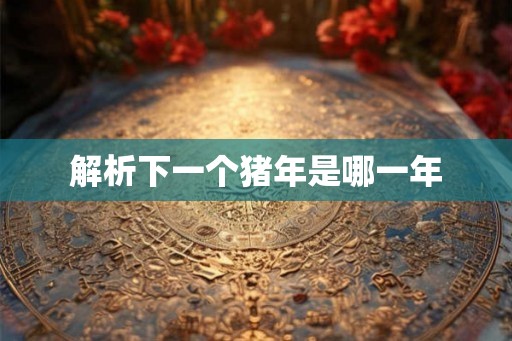 解析下一个猪年是哪一年