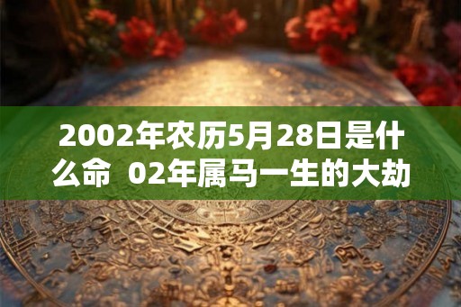 2002年农历5月28日是什么命  02年属马一生的大劫