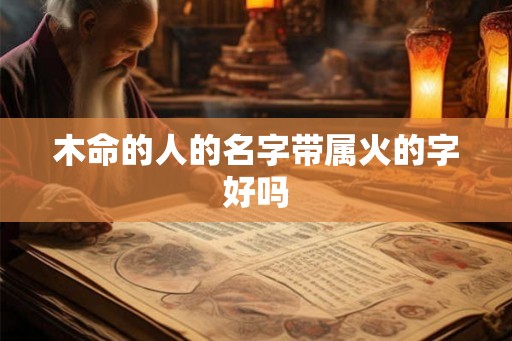 木命的人的名字带属火的字好吗 木命的人的名字带属火的字好吗