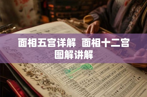 面相五宫详解  面相十二宫图解讲解