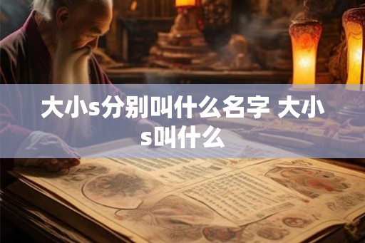 大小s分别叫什么名字 大小s叫什么 大小s分别叫什么名字 大小s叫什么