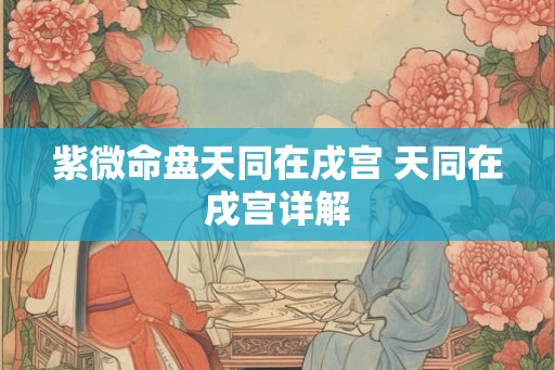 紫微命盘天同在戌宫 天同在戌宫详解