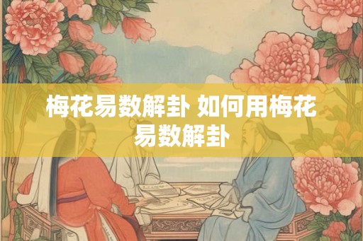 梅花易数解卦 如何用梅花易数解卦