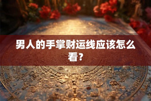 男人的手掌财运线应该怎么看? 男人的手掌财运线应该怎么看?