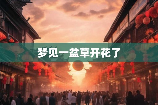 梦见一盆草开花了