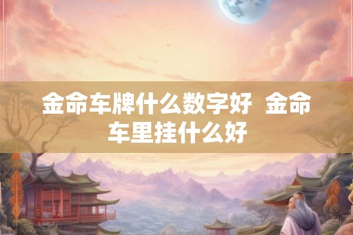 金命车牌什么数字好  金命车里挂什么好